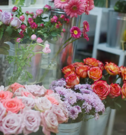 Dobra cvetlicarna domzale