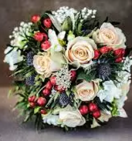 Dobra cvetlicarna gorica