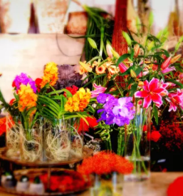 Dobra cvetlicarna gorica