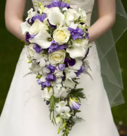 Dobra cvetlicarna kranj