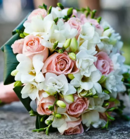 Dobra cvetlicarna kranj