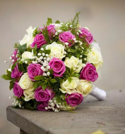 Dobra cvetlicarna kranj