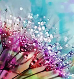 Šopki Slovenj Gradec