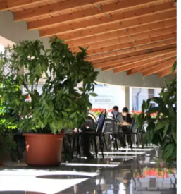 Dobra domača gostilna Ljubljana okolica