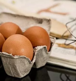 Dobra gostilna in malice Novo mesto, Dolenjska