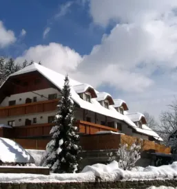 Dobra postrežba v gostilna ljubno ob savinji