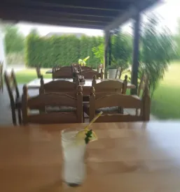 Dobra gostilna savinjska