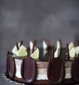 Dobra kava Ljubljana, okolica