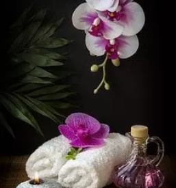 Dobra maserka maribor