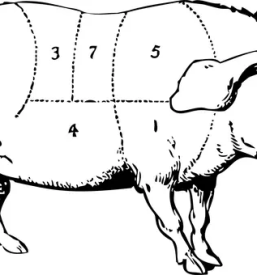 Najboljša mesnica Grosuplje