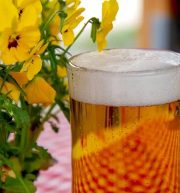 Dobra okrepcevalnica grosuplje