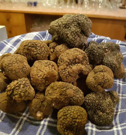 Dobra okrepcevalnica koper okolica obala