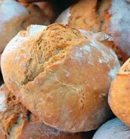 najboljša pekarna koper