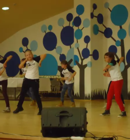 Dobra plesna sola koroska