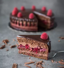 Dobre torte Ljubljana, okolica