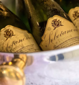 Dobro gostisce bresternica