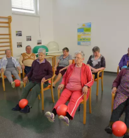 Dom starejsih koroska