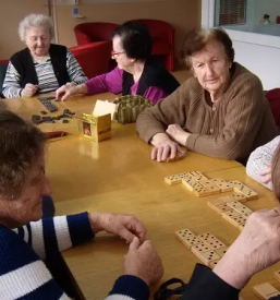 Dom starejsih sevnica