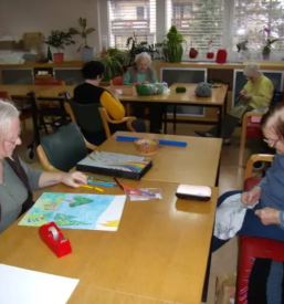 Dom starejsih sevnica