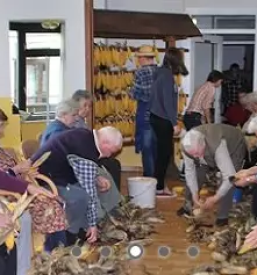 Dom upokojencev polzela