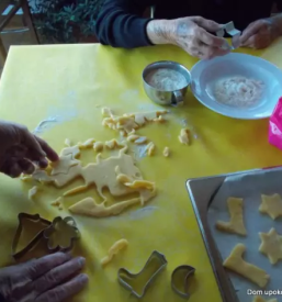 Dom za starejse postojna