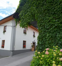 Domača hrana Kamnik