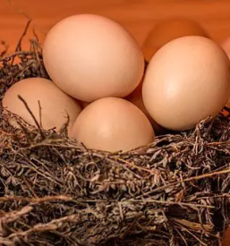 Najboljša domača jajca Dolenjska