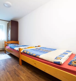 Domace bucno olje prekmurje