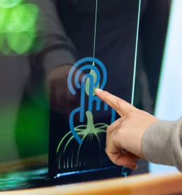 Domace bucno olje prekmurje