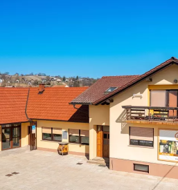 Domace bucno olje prekmurje