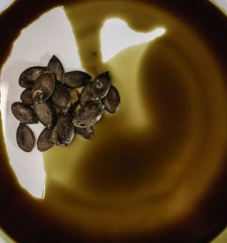 Domace bucno olje prekmurje