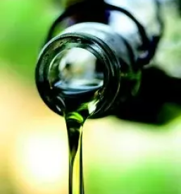 Domace bucno olje slovenija