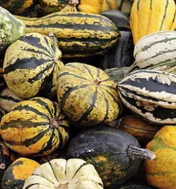 Domace bucno olje slovenija