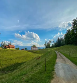 testenine Štajerska