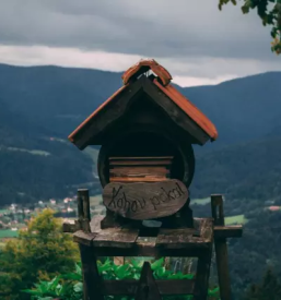 Domače testenine Štajerska