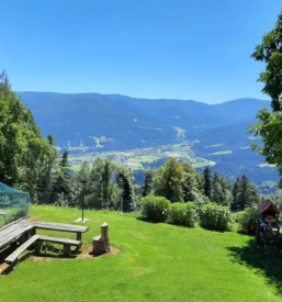 Domače eko testenine Štajerska