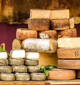 Domaci kozji sir gorenjska