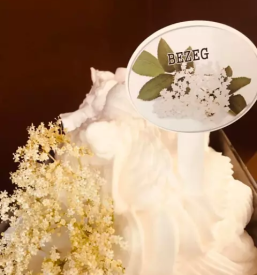 Domačis sladoled gornja radgona