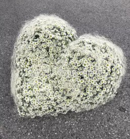 Dostava cvetja Brezovica pri Ljubljani - obiščite nas