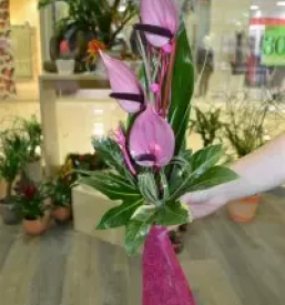 Dostava cvetja novo mesto