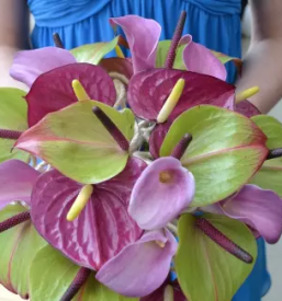 Dostava cvetja novo mesto