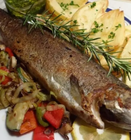 Dostava in prevzem hrane Ptuj