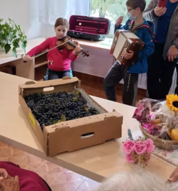 Dostava kosil na dom postojna