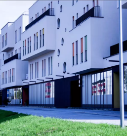 Dostava kosil smartno pri litiji