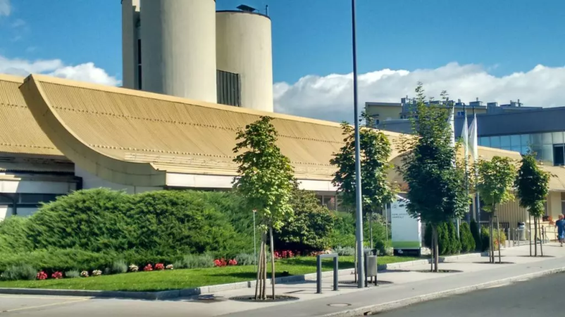 Dostava kosil starejšim Domžale