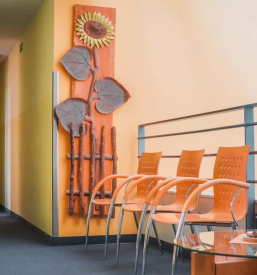 Dostava kosil starejsim ormoz