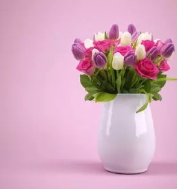 Dostava šopkov Slovenj Gradec, Slovenija