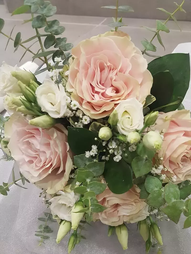 Dostava rož Slovenj Gradec