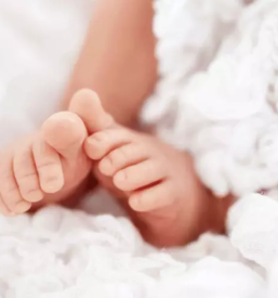 Druzinska fotografija goriska