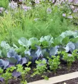 Ekoloska gnojila ljubljana